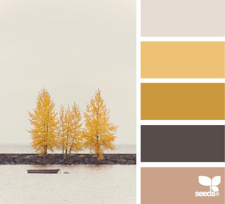 21661_10151124988565598_1032725821_n